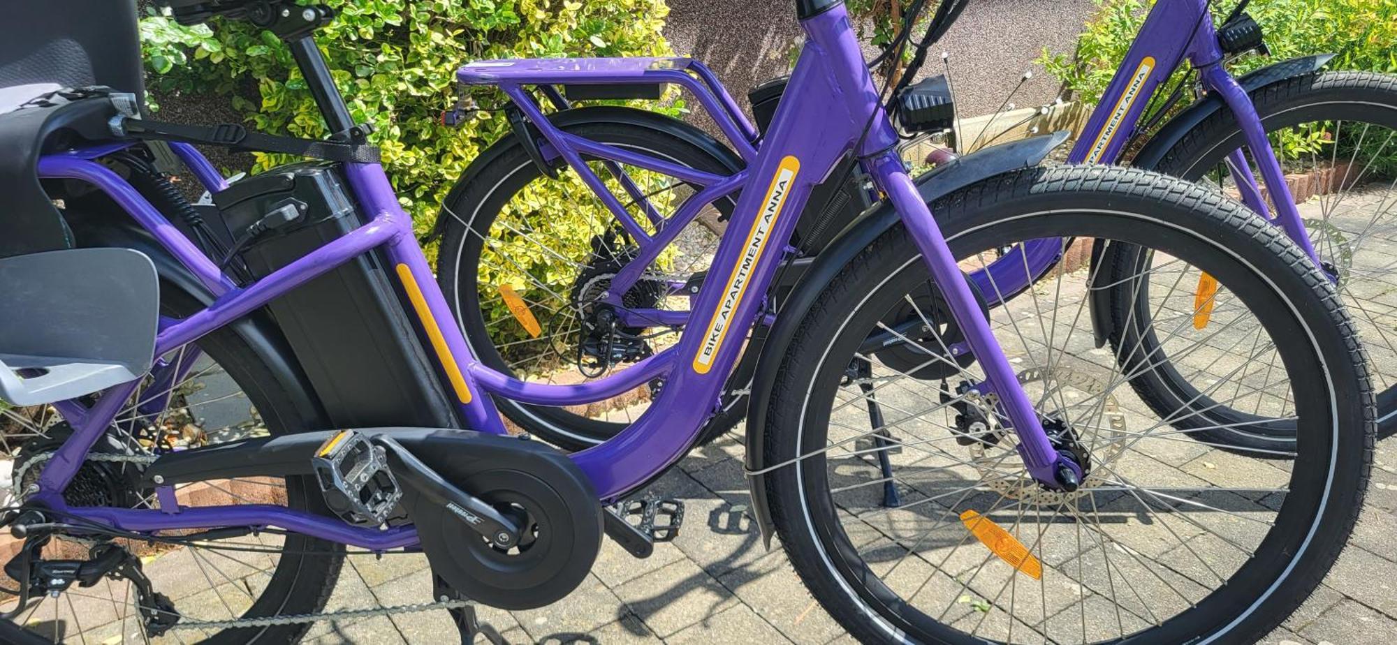 Zwei Schlafzimmer Ferienapartment Anna Am Stubenbergsee Inklusive Vier E-Bikes Buitenkant foto