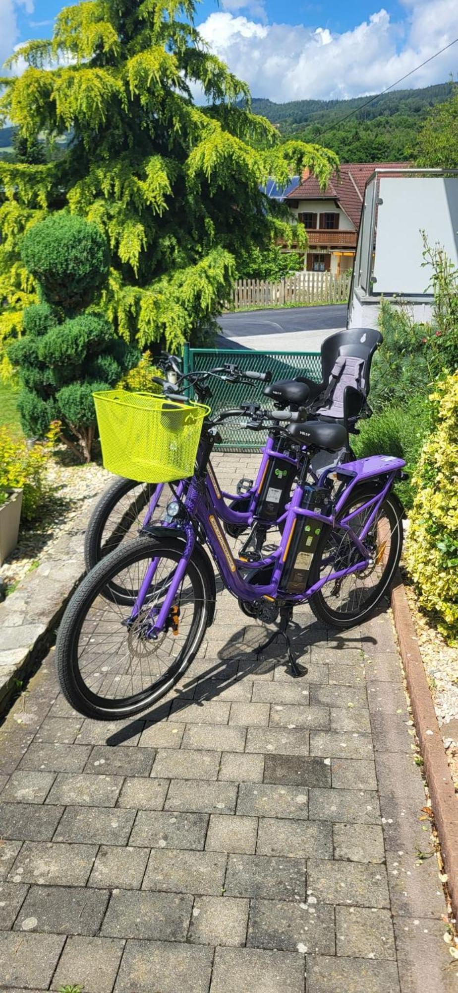 Zwei Schlafzimmer Ferienapartment Anna Am Stubenbergsee Inklusive Vier E-Bikes Buitenkant foto